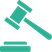 catastrophic injury icon (2)