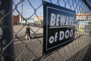 Dog Bite Lawyer Morrow, GA